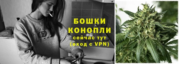 spice Арсеньев