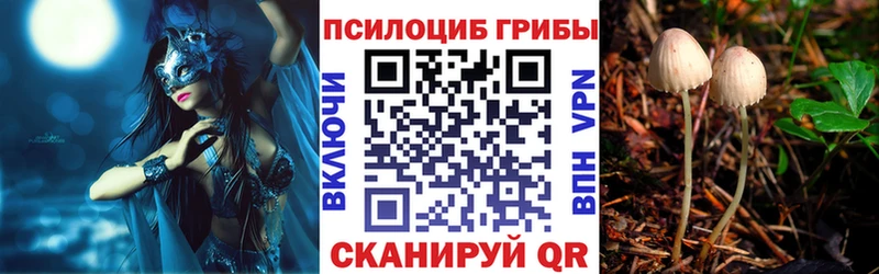 Галлюциногенные грибы мицелий Приволжск