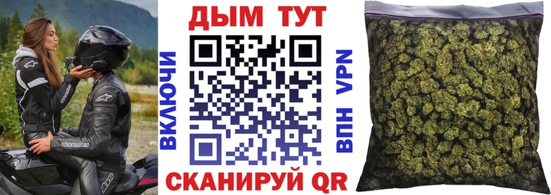 магазин продажи наркотиков  Приволжск  Марихуана сатива 